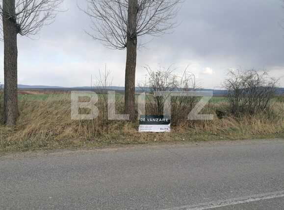 Teren de vânzare Miroslava - 84672TV | BLITZ Iași | Poza3
