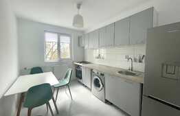 Garsoniera moderna, pet friendly, zona Tatarasi