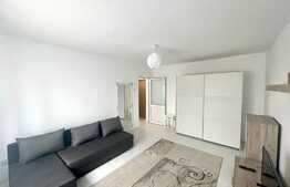 Garsoniera moderna, pet friendly, zona Tatarasi