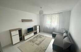 Garsoniera moderna, pet friendly, zona Tatarasi