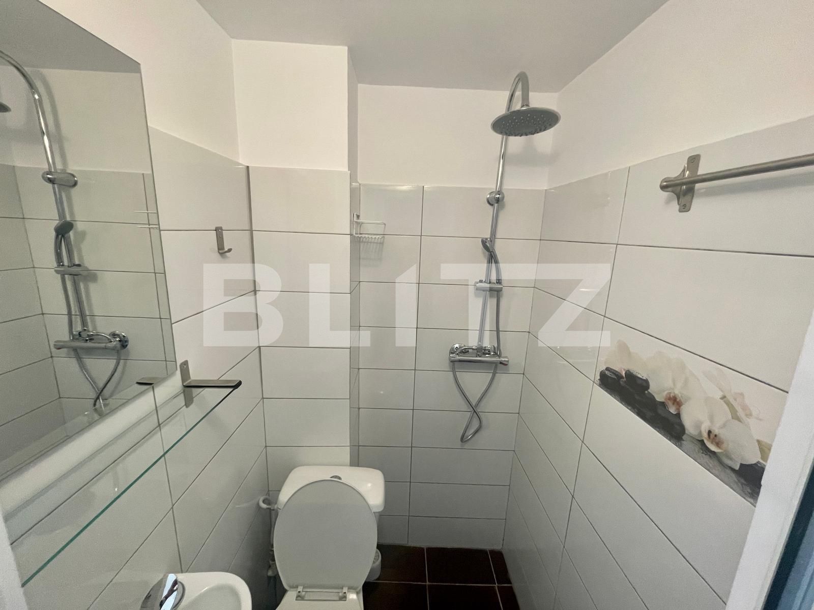 Garsonieră de închiriat Tatarasi - 84682AI | BLITZ Iași | Poza4