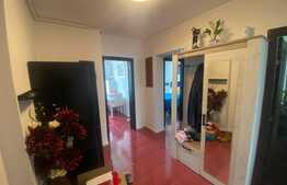Apartament de 3 camere, 64 mp, mobilat modern, zona Pod Ros