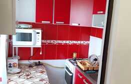Apartament 2 camere, 40 mp, zona Alexandru cel Bun