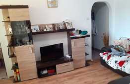 Apartament 2 camere, 40 mp, zona Alexandru cel Bun