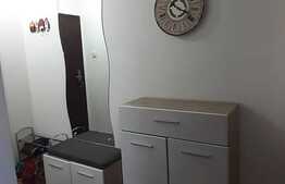 Apartament 2 camere, 33mp, etaj intermediar, zona Manta Rosie