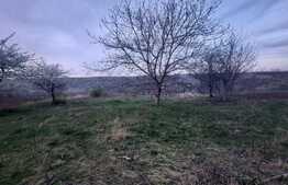 Teren intravilan, 2653 mp, Comarna