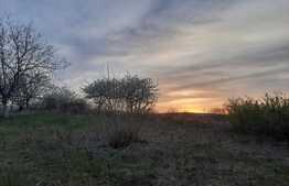 Teren intravilan, 2653 mp, Comarna