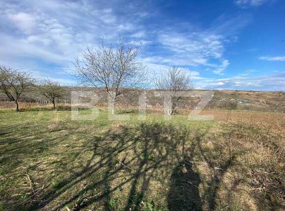 Teren de vânzare Comarna - 84901TV | BLITZ Iași | Poza1