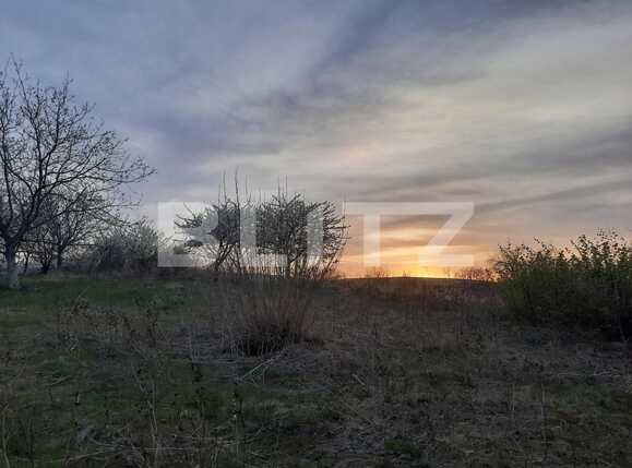 Teren de vânzare Comarna - 84901TV | BLITZ Iași | Poza4