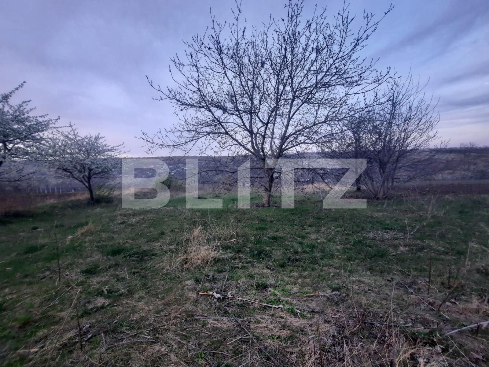 Teren de vânzare Comarna - 84901TV | BLITZ Iași | Poza5