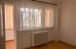 Apartament de 3 camere, semidecomandat, 60 mp, zona Palas