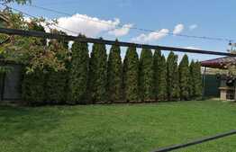 Casa 240mp, teren 730mp, Bucium, la asfalt