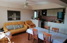 Casa 240mp, teren 730mp, Bucium, la asfalt