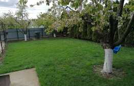 Casa 240mp, teren 730mp, Bucium, la asfalt