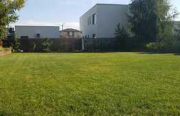 Casa de 175 mp, garaj, 850 mp de teren, Valea Lupului