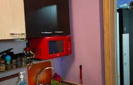 Garsoniera de 18 mp, etaj intermediar, zona Pacurari