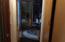 Apartament 2 camere, 50 mp, zona Frumoasa