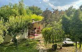 Casa individuala 440 mp, teren 1350 mp, 6 camere, zona P-ta Chirila