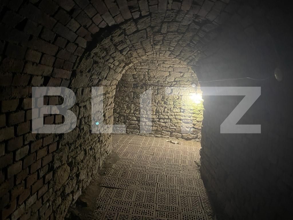 Casa de vânzare 6 camere Tatarasi - 85571CV | BLITZ Iași | Poza19