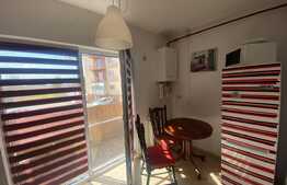 Apartament 2 camere, 50 mp, etaj intermediar, cartier Iris