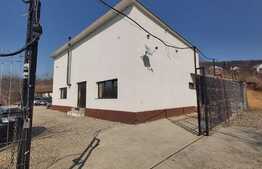 Casa 4 camere, 110 mp, 1000 mp teren, zona Bucium