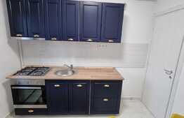 Apartament 1 camera, 40 mp, zona Bucium