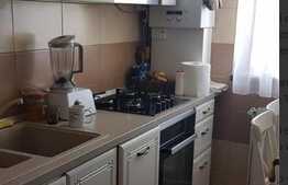 Apartament 2 camere, 53 mp, zona Pacurari