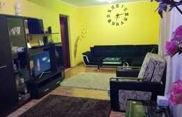 Casa cu 4 camere, 220 mp, teren de 3050 mp, sat Stanca