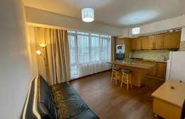 Apartament de 2 camere, 50 mp, parcare, zona Pacurari