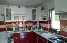 Casa 5 camere, 160 mp, 705 mp teren, zona Valea Adanca