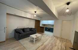 Apartament 2 camere, lux, 56 mp, petfriendly, zona Tatarasi