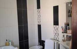 Duplex 5 camere, 200 mp, 300 mp, zona Tudor Vladimirescu