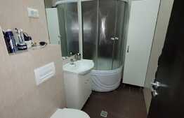 Apartament de 2 camere, 55 mp, terasa, zona Palas