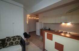 Apartament de 2 camere, 55 mp, terasa, zona Palas