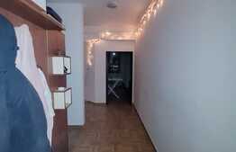 Apartament de 2 camere, 55 mp, terasa, zona Palas