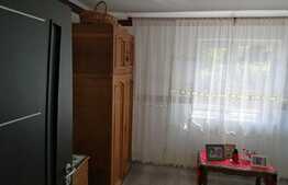 Casa 3 camere, mobilata,utilata, locatie deosebita,Tomesti