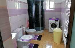 Casa 3 camere, mobilata,utilata, locatie deosebita,Tomesti