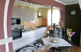 Casa 3 camere, mobilata,utilata, locatie deosebita,Tomesti