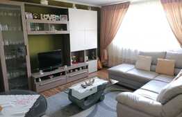 Casa 3 camere, mobilata,utilata, locatie deosebita,Tomesti