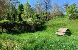 Vila de 7 camere, garaj, 350 mp utili, 1000 mp teren, Bucium