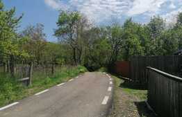 Casa 40 mp, teren 3300 mp, Dobrovat