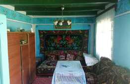 Casa 40 mp, teren 3300 mp, Dobrovat