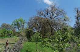 Casa 40 mp, teren 3300 mp, Dobrovat