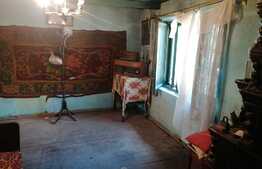 Casa 40 mp, teren 3300 mp, Dobrovat