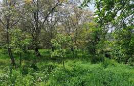 Casa 40 mp, teren 3300 mp, Dobrovat