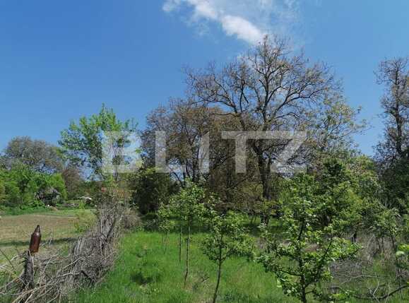 Casa de vânzare 2 camere Exterior Sud - 86285CV | BLITZ Iași | Poza10