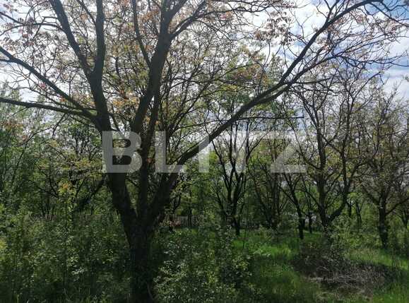 Casa de vânzare 2 camere Exterior Sud - 86285CV | BLITZ Iași | Poza9