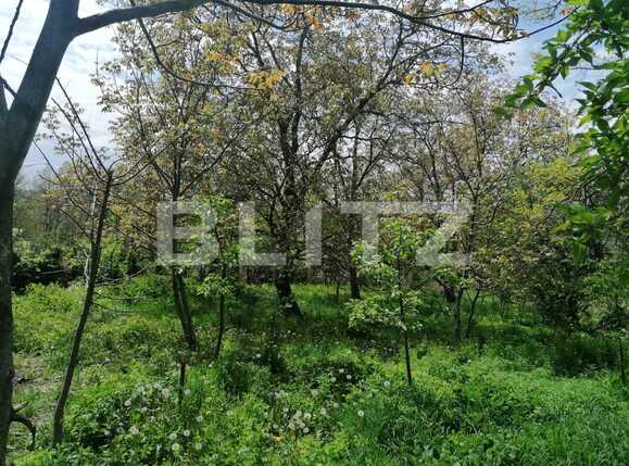 Casa de vânzare 2 camere Exterior Sud - 86285CV | BLITZ Iași | Poza7