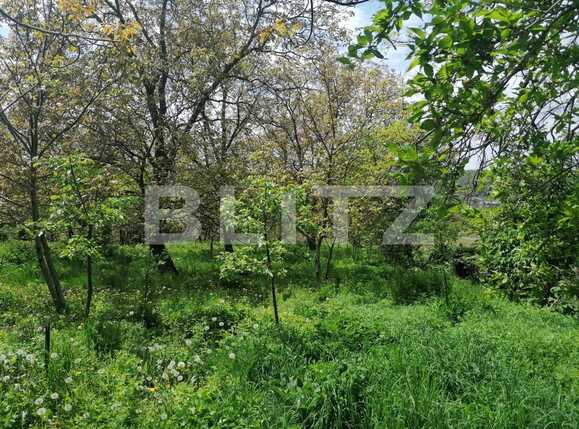 Casa de vânzare 2 camere Exterior Sud - 86285CV | BLITZ Iași | Poza6