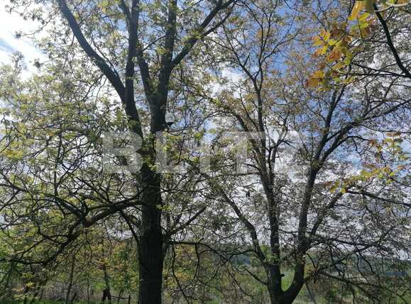 Casa de vânzare 2 camere Exterior Sud - 86285CV | BLITZ Iași | Poza8